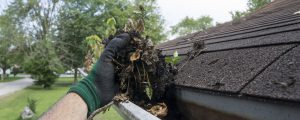 Cleaning Gutter