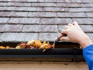 Cleaning Leaves Out of Gutter