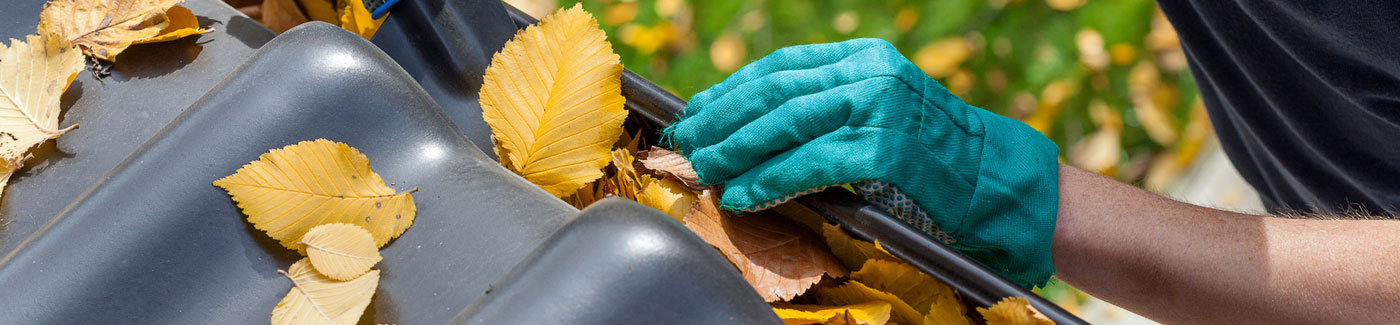 Gutter Cleaning