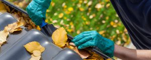 Man Cleaning Gutter