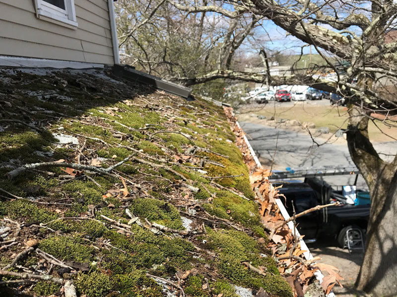 Roof Cleaning Before