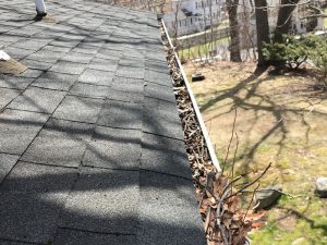 Gutter Cleaning Before