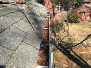 Dirty Clogged Gutters