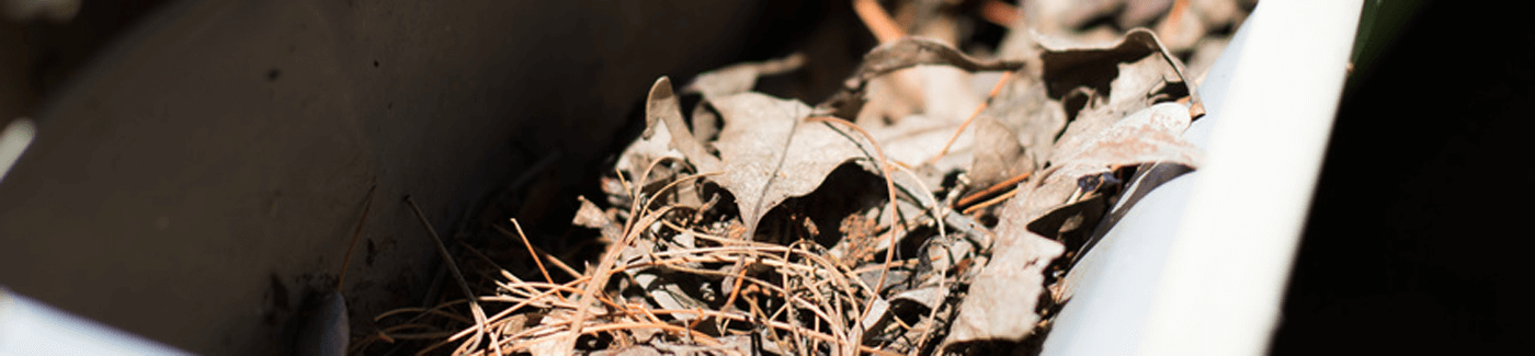 Gutter full of leaves