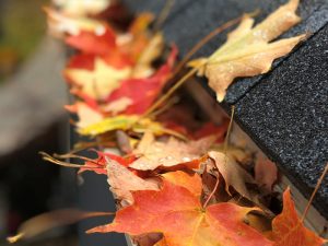 Leaf Gutter Cleaning Before