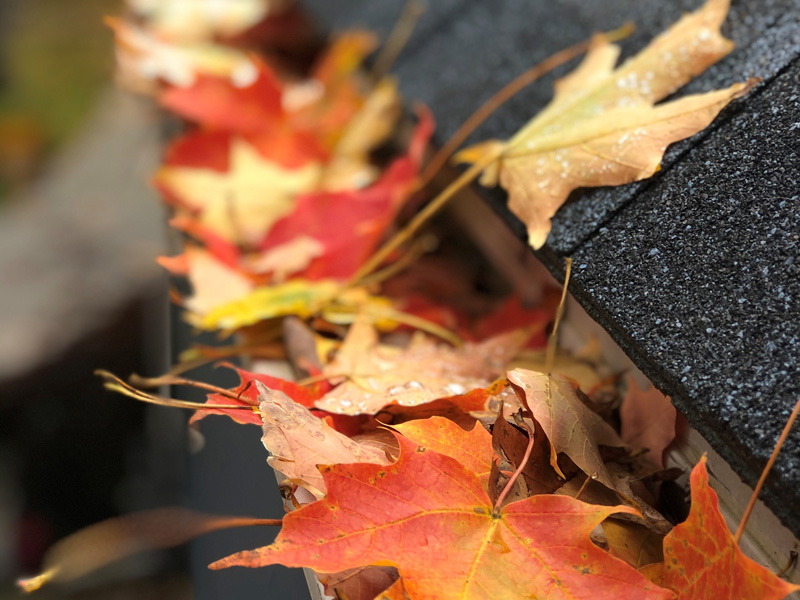 Leaf Gutter Cleaning Before