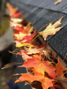 Leaf Gutter Cleaning Before