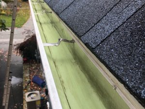 Leaf Gutter Cleaning After