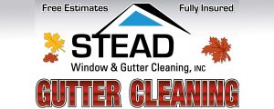 Stead Window & Gutter Cleaning