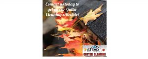 Stead Window and Gutter Cleaning, INC