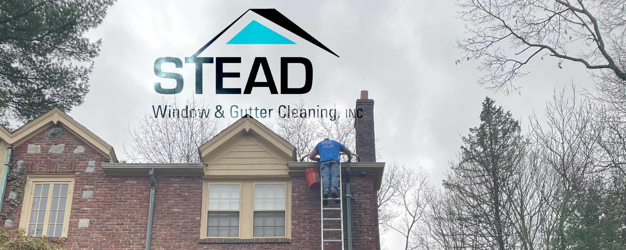 Stead Window Cleaning